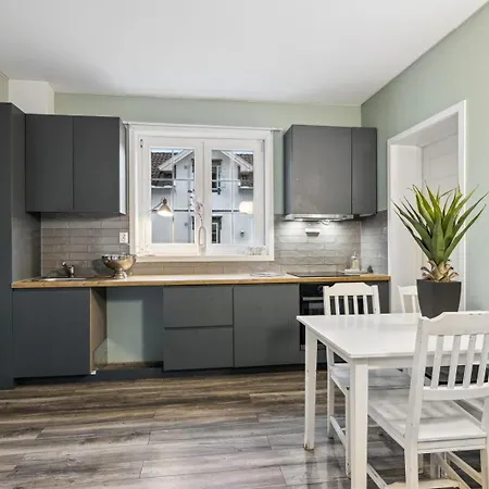 Stor & Moderne I Kanten Av Sentrum *