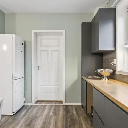Stor & Moderne I Kanten Av Sentrum Lejlighed Skien